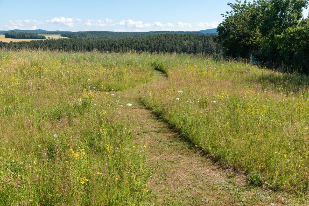 Moderne, Gemuetliche Dg-Wohnung In Ruhiger Lage Neunburg vorm Wald Zewnętrze zdjęcie