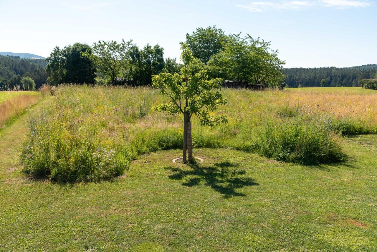 Moderne, Gemuetliche Dg-Wohnung In Ruhiger Lage Neunburg vorm Wald Zewnętrze zdjęcie